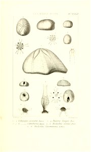 n68_w1150
