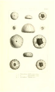 n38_w1150