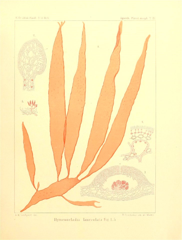 n44_w1150