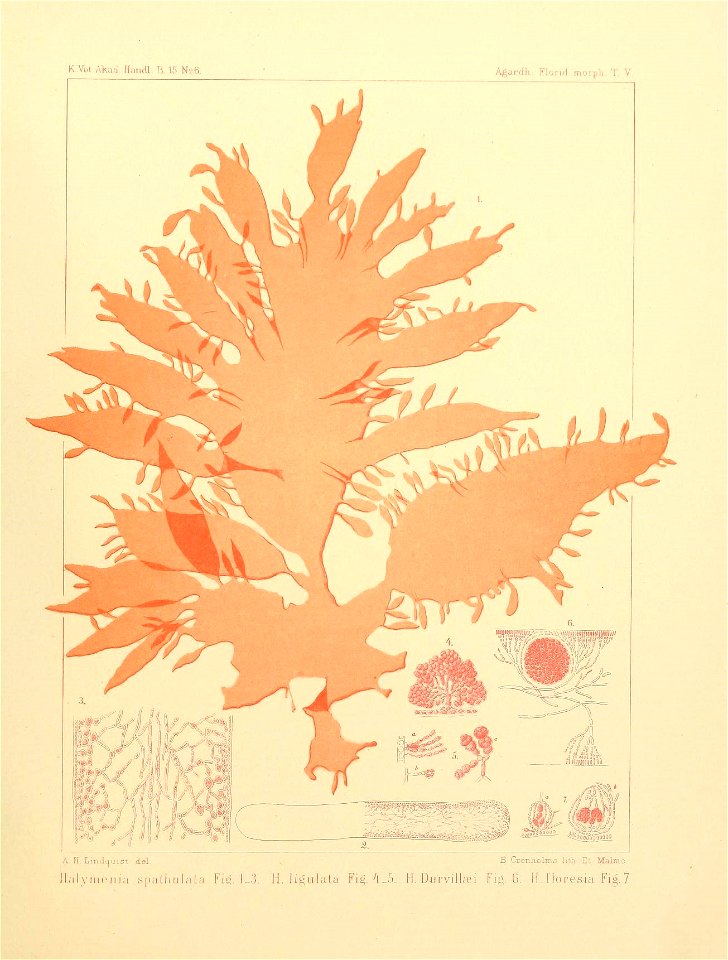 n14_w1150
