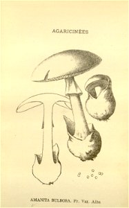 n6_w1150