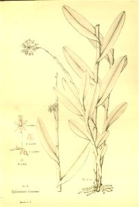 n175_w1150