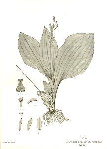 n143_w1150
