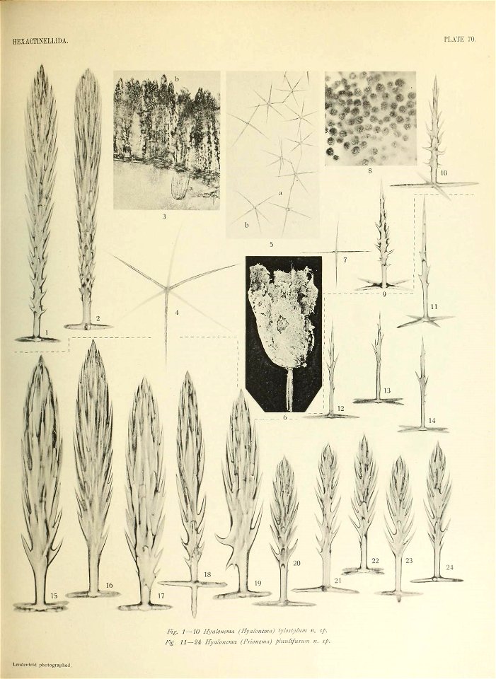 n690_w1150