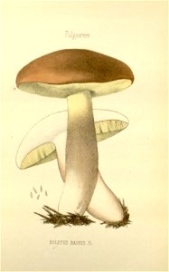 n50_w1150