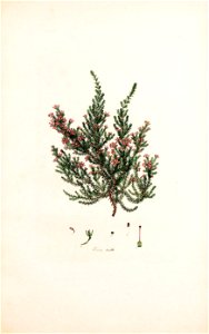 n262_w1150