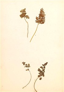 n127_w1150
