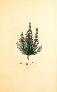 n122_w1150