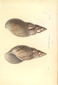 n158_w1150