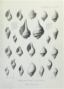 n280_w1150
