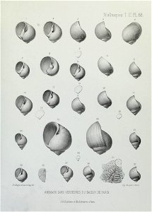 n250_w1150