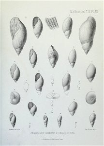 n220_w1150