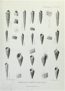 n278_w1150