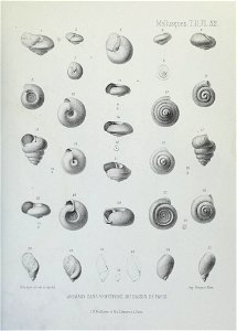 n218_w1150