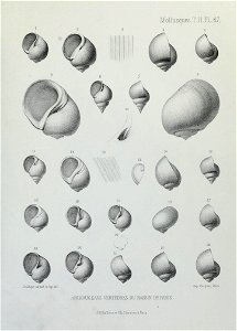 n248_w1150