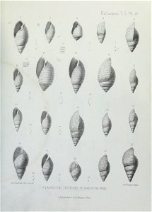 n188_w1150