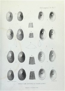 n128_w1150