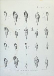 n158_w1150