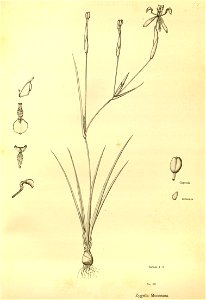 n210_w1150