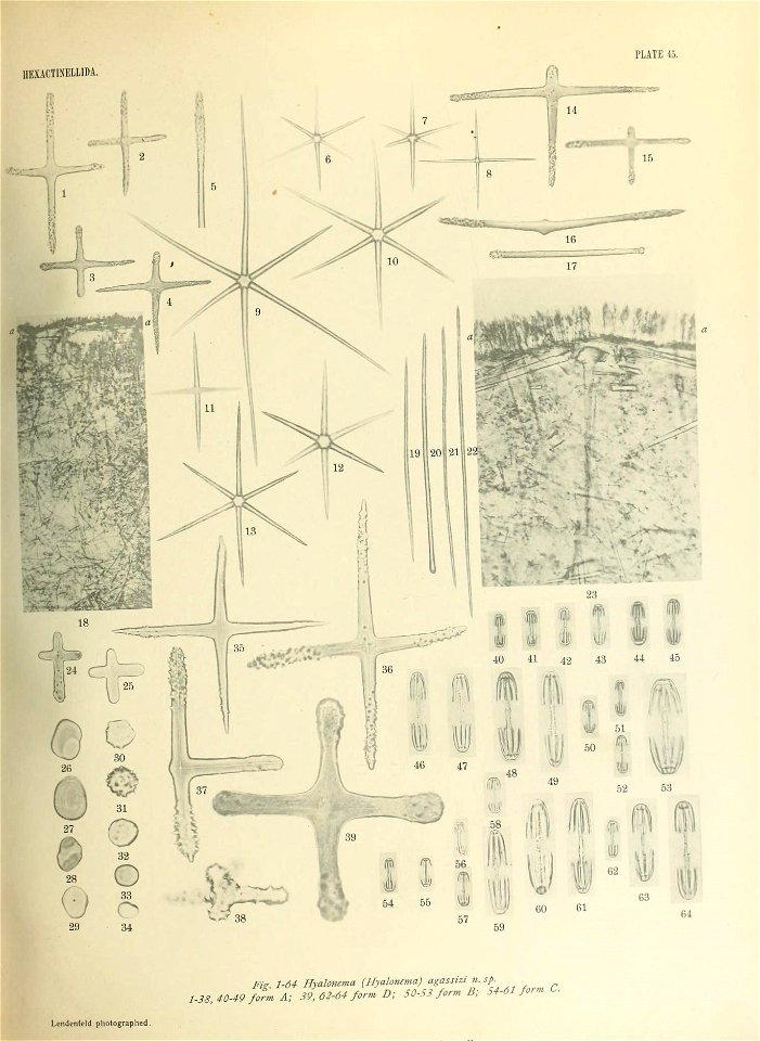 n590_w1150