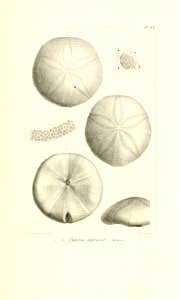 n44_w1150