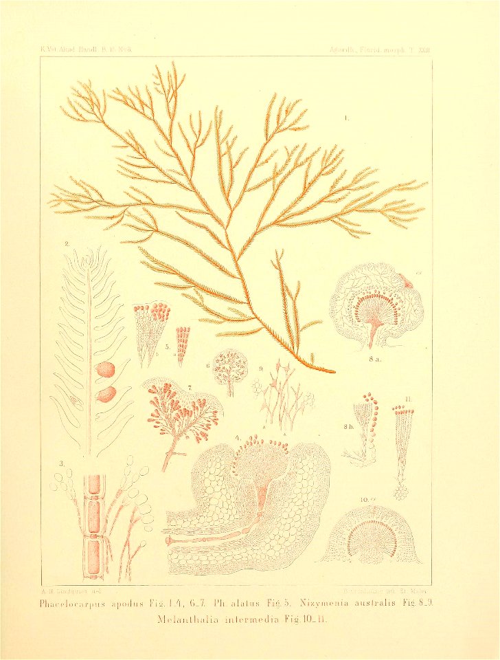 n50_w1150