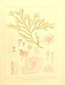 n50_w1150