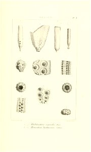 n14_w1150