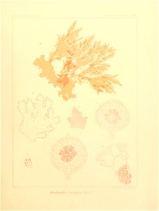 n48_w1150