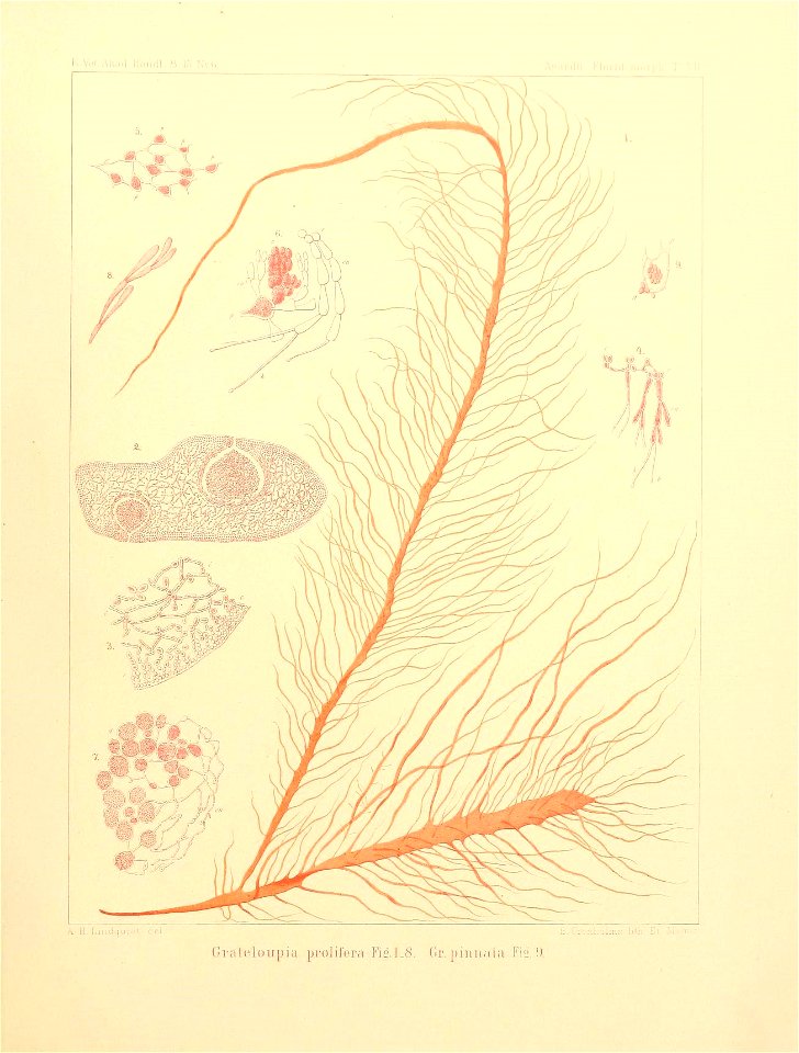 n18_w1150