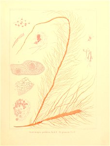 n18_w1150