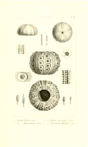 n12_w1150