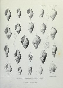 n302_w1150