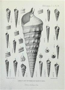 n272_w1150