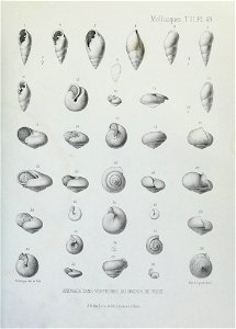 n212_w1150