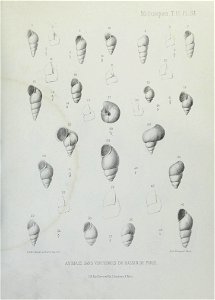 n182_w1150