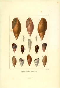 n178_w1150
