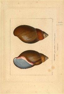 n148_w1150