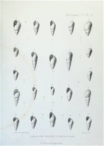 n152_w1150