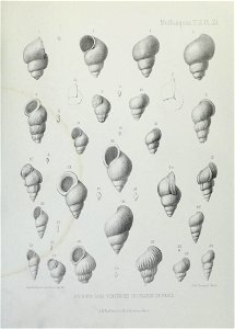 n180_w1150