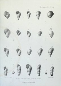 n150_w1150