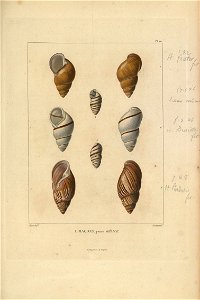 n116_w1150