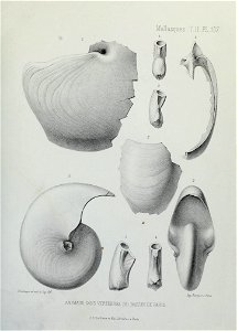 n328_w1150
