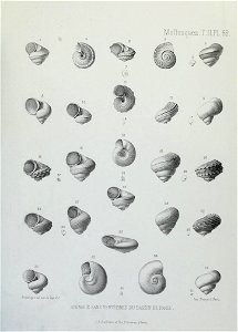 n238_w1150