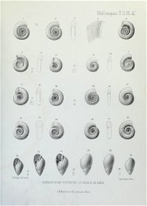 n208_w1150
