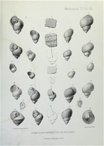 n178_w1150