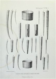 n118_w1150