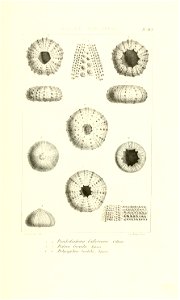 n36_w1150