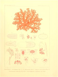 n12_w1150