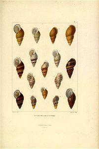 n114_w1150